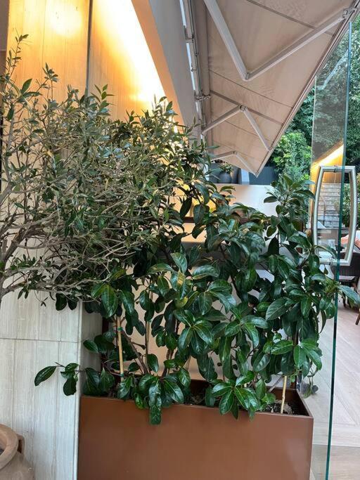 Ksenokratous-Kolonaki Cozy Apartment Αθήνα Εξωτερικό φωτογραφία